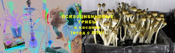 бошки Горно-Алтайск