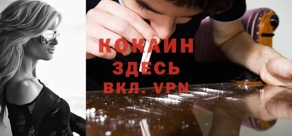 твердый Горняк