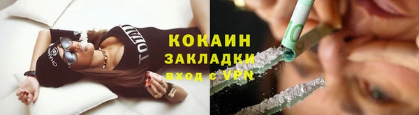 сатива Горнозаводск
