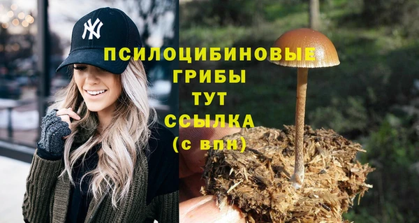 сатива Горнозаводск