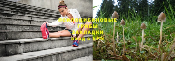 твердый Горняк