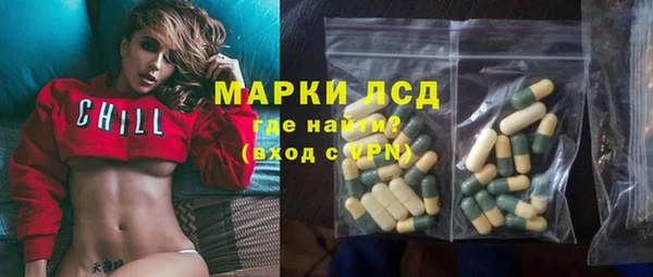 твердый Горняк