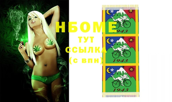 твердый Горняк