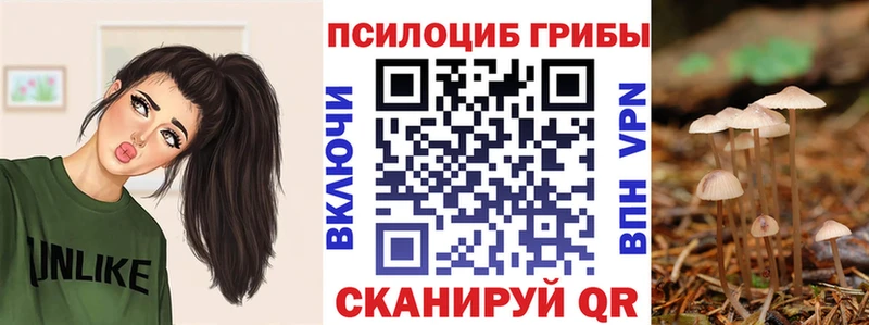 Галлюциногенные грибы Psilocybine cubensis  Купить где  Магас 
