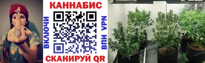 Шишки марихуана сатива Купить Магас